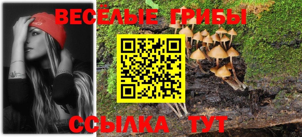 Псилоцибиновые грибы мухоморы Заволжье